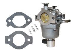 22 853 02-S - Carburetor Kit (Nikki)